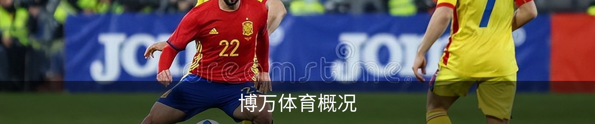博万体育概况